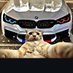 cAT ๐ธ (@catlover9563) Twitter profile photo cAT ๐ธ (@catlover9563) Twitter profile photo