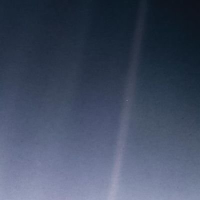 nnnovvve's profile picture. 나는 합니다 구독과 앓이 / 벜샘🐺🐦 패션🧤🍺 등 / 성인 / 스.드 주세요