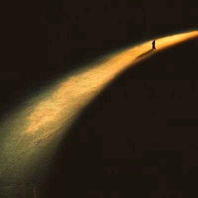 zhoy546802's profile picture. 