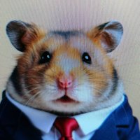 Uomo Blanco (@blancouomo) 's Twitter Profile