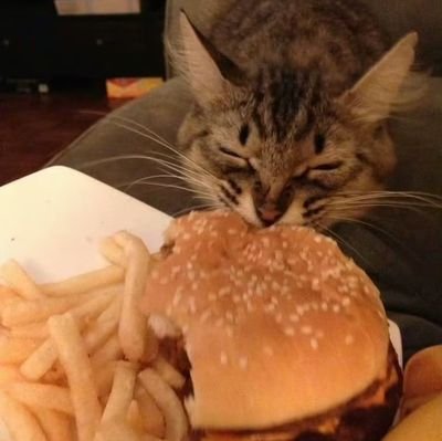 naomochikawai's profile picture. 取关随意
フォロー解ご自由に