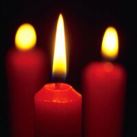 참풀양달 (@kes6202) 's Twitter Profile Photo