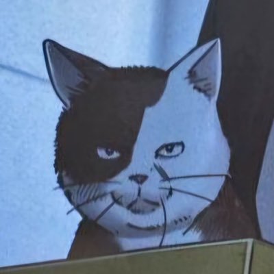 แมววัวที่ถูกทิ้งไว้ในลังกระดาษแถวๆ โรงเรียนฟูริน | Wind Breaker Bot | ม้าว~ 🐈⬛📦