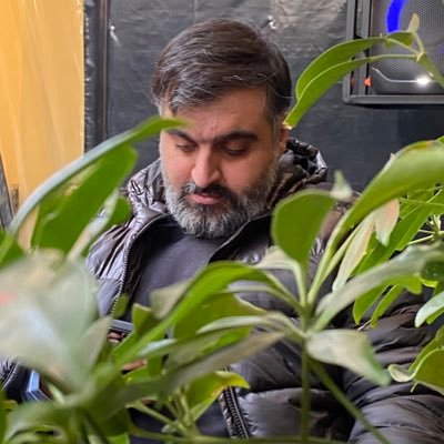 تلک الدار الاخرة نجعلها للذین لا یریدون علوا فی الارض ولا فسادا والعاقبة للمتقین