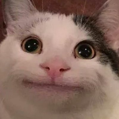 laonapcrypto's profile picture. 