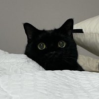 ᴋᴇɪ (@oz9e5) 's Twitter Profile Photo ᴋᴇɪ (@oz9e5) 's Twitter Profile Photo
