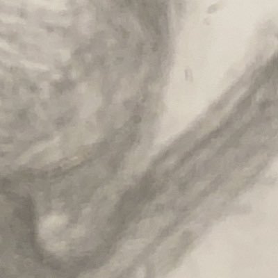 zbzu3m's profile picture. 