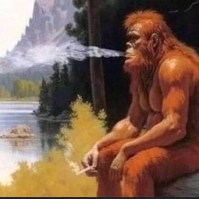 bachaina16's profile picture. 