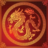 CHINA DEGEN - 中国龙 🐉 (@chinadegen) 's Twitter Profile