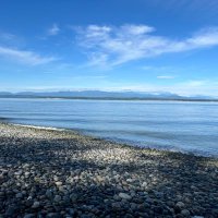 Traveler (@travele51586275) 's Twitter Profile