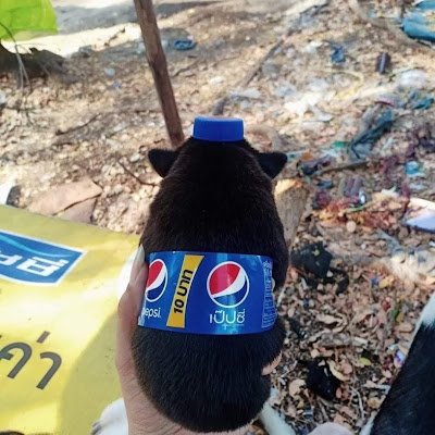 eieiofjoy's profile picture. 