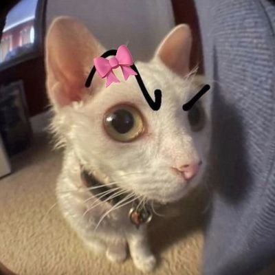 cats ♡ |
AAAAHH |
18yro Ger/Rus |
Bestimmt Netter dude |
Alles Satire :) |
Schleifengang
Twitch: https://t.co/Xsu6lMRCcZ