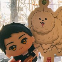 🍁アキ (@kaedeaki_trip) 's Twitter Profile Photo