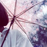 さくら (@7sksk5) 's Twitter Profile