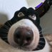 web561 (@shuibamingzi) Twitter profile photo web561 (@shuibamingzi) Twitter profile photo