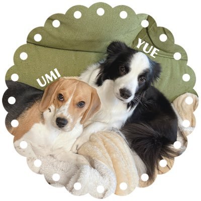 主に リアル👤,イッヌ🐶,ゲーム📱🎮 のことをポストします💭/ゆえ(ボーダーコリー︎︎ ♀,2022.4.10🎂,2022.6.18🏠)/うみ(ビーグル︎︎ ♀,2024.6.15🎂,2024.9.2🏠)/リプはコミュ障なので自分からはめったに送らず…😂