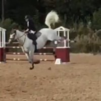 Tillytiptoes (@rhonaharker) 's Twitter Profile