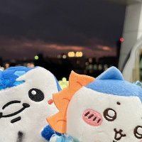 🐑 (@rock_book13) 's Twitter Profile