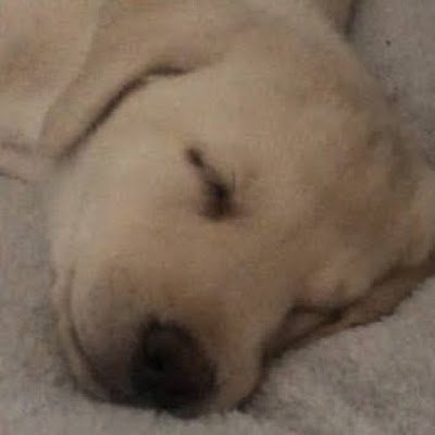 Trollingisfun84's profile picture. 