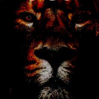 Mac Roberts (@macham187) 's Twitter Profile