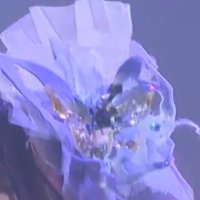 の👍の👍 (@nbb_240308) Twitter profile photo