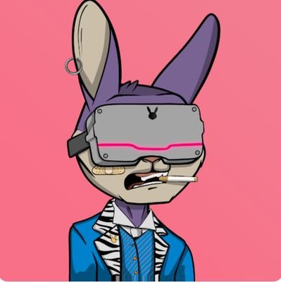 stainsey69's profile picture. Riding the future 🌊🌱😎🚀🐰