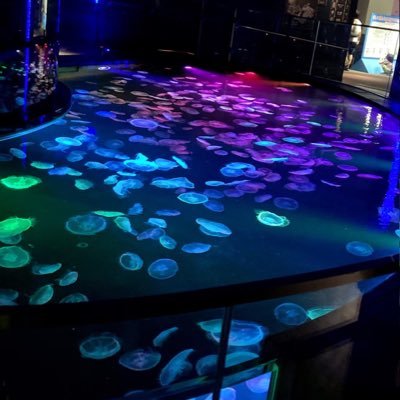 Az22_OUJ_'s profile picture. 