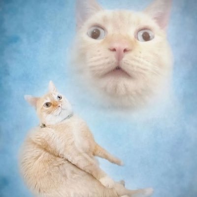 Franekse123's profile picture. 