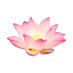 jamie (@lunani2ta) Twitter profile photo jamie (@lunani2ta) Twitter profile photo