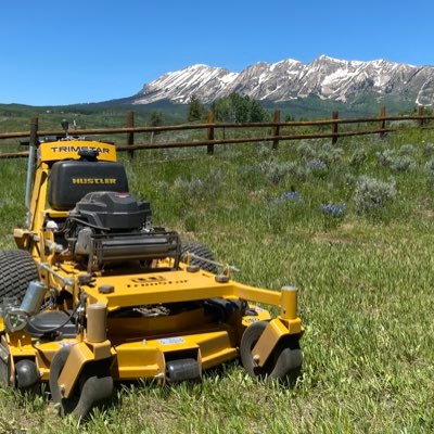 theprojectlawn's profile picture. I try.