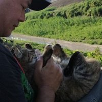 Yutaka Sato (@bfloresviajando) 's Twitter Profile Photo