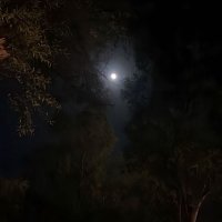 1 (@albaqmi_yk) Twitter profile photo