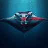 SubmergedNomad's profile picture.