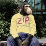 TheZipfsLaw's profile picture. 🐒 A monkey modding Metal Gear Solid
📚 Developer, reverse engineer at @ModdersHeaven_
⚙️ Working on Zeta, IHHook, SnakeBite Mod Manager
🦋 https://t.co/z8gmcHgJzs