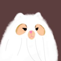 𝐁𝐨𝐨🍋 (@misakaboo) 's Twitter Profile Photo