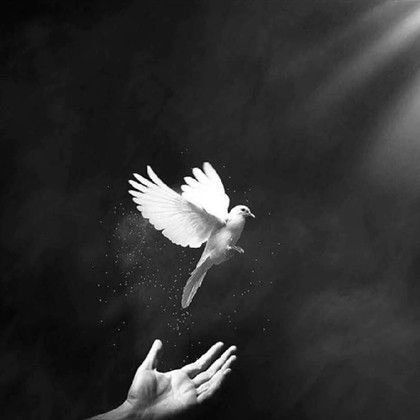 #The Witness Unto Christ my Lord & Saviour.
Passionate about God above everything else.
God found me at my worst & loved me.