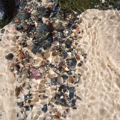 psychology1082's profile picture. 