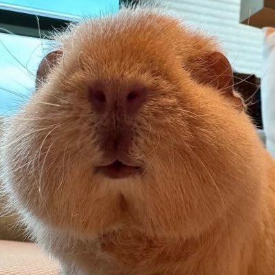 jenojeno777's profile picture. ?