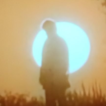 kaktus4307's profile picture. 