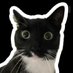 MartinDexter77 (@dexter7777778) Twitter profile photo MartinDexter77 (@dexter7777778) Twitter profile photo