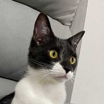 kayachan0's profile picture. 