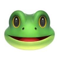 Danger7048's profile picture. Many Patriots on this feed.