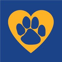 Pitt Student Affairs (@pittstudents) 's Twitter Profile