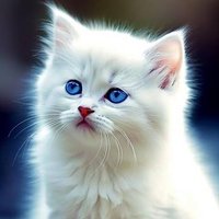 Nil Babu (@nil3smbads) 's Twitter Profile
