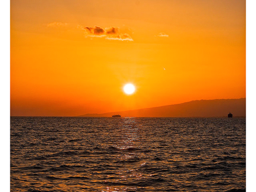 wyattswave's profile picture. 