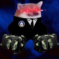 Yvref (@vetealvmusk) 's Twitter Profile