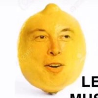 Lemon Musk 🍋 (@mister__lemon) 's Twitter Profile