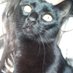 Little Pimi's (@little_pimi) Twitter profile photo Little Pimi's (@little_pimi) Twitter profile photo
