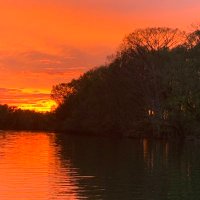 Bruce (@ontheriver259) 's Twitter Profile