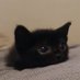 miisted (@miistedd) Twitter profile photo miisted (@miistedd) Twitter profile photo